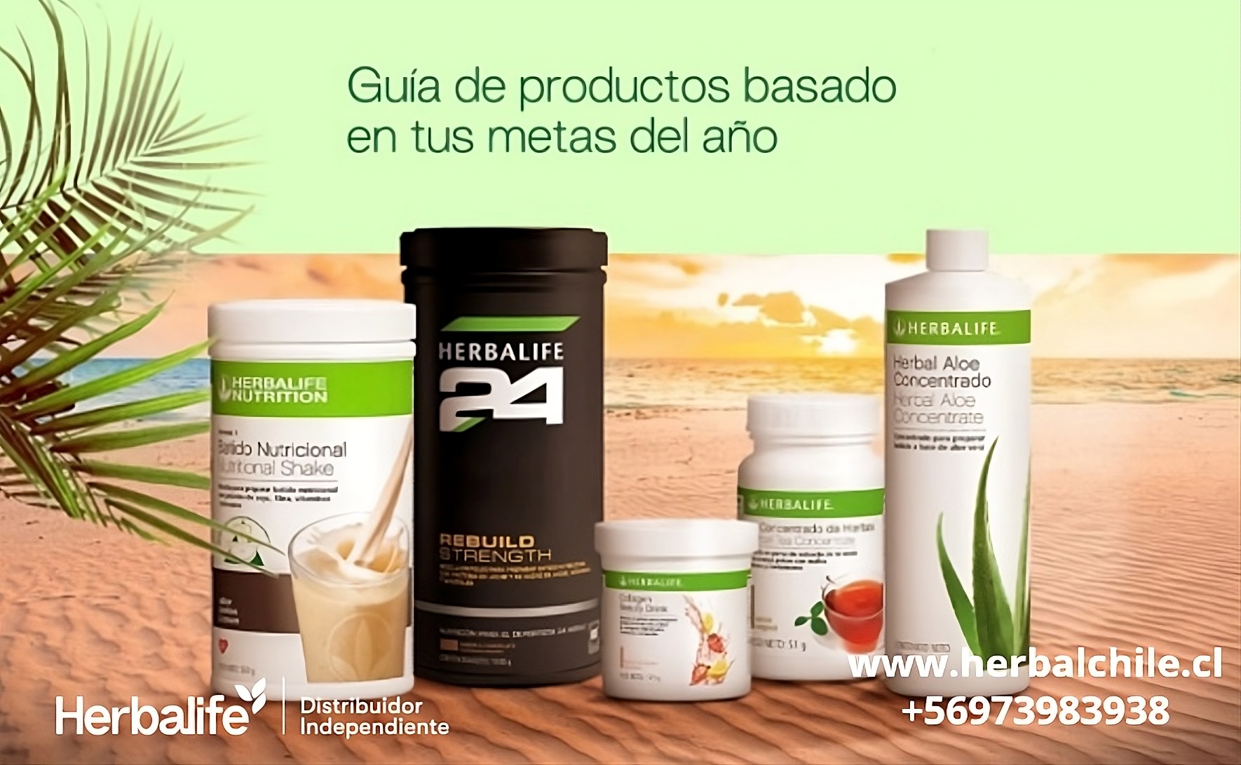 Batido nutricional Fórmula 1 Herbalife en Chile