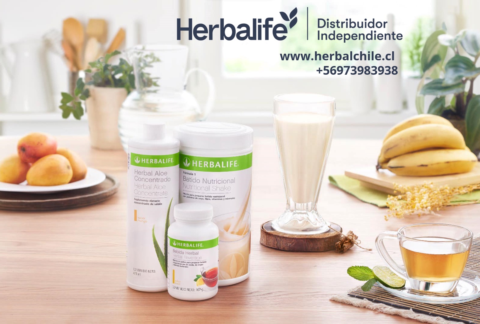 Herbalife Batidos nutricionales en Chile